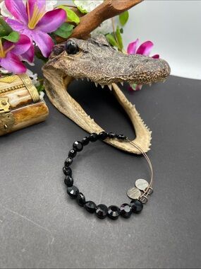 Alex and Ani adjustable bracelet